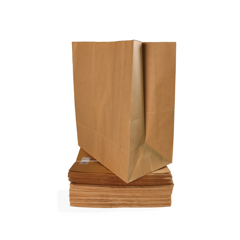 Bolsas kraft