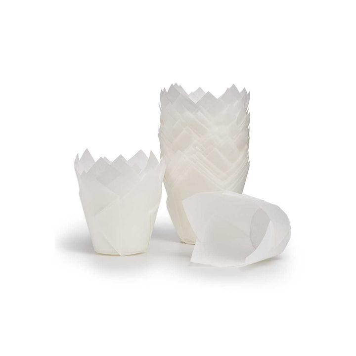 Capacillo Tulip 2" x 2-1/8"
