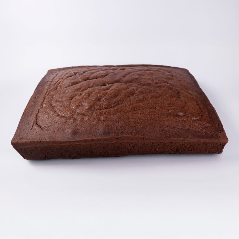 Bizcochos congelado rectangular 13x9¨