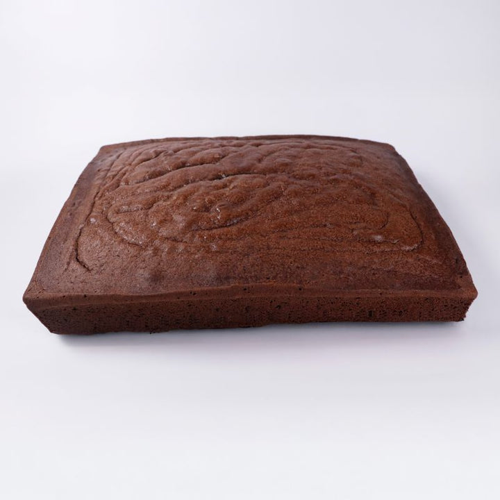 Bizcochos congelado rectangular 13x9¨