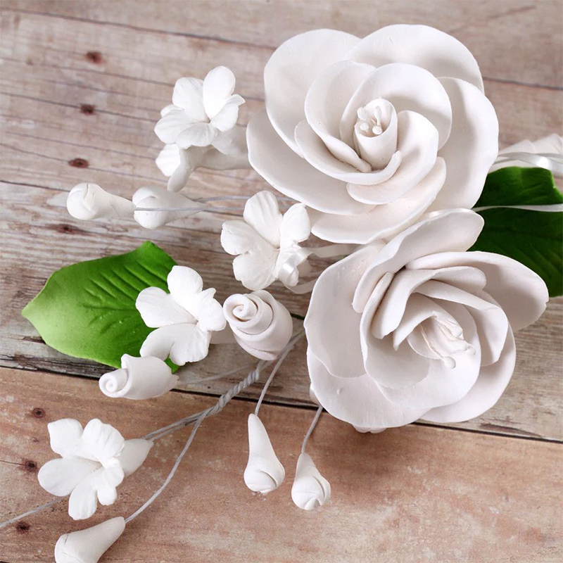 Rosa mosqueta de pasta de goma