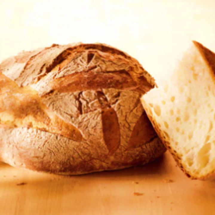 Puratos O-Tentic Origin (Masa Madre) 1kg